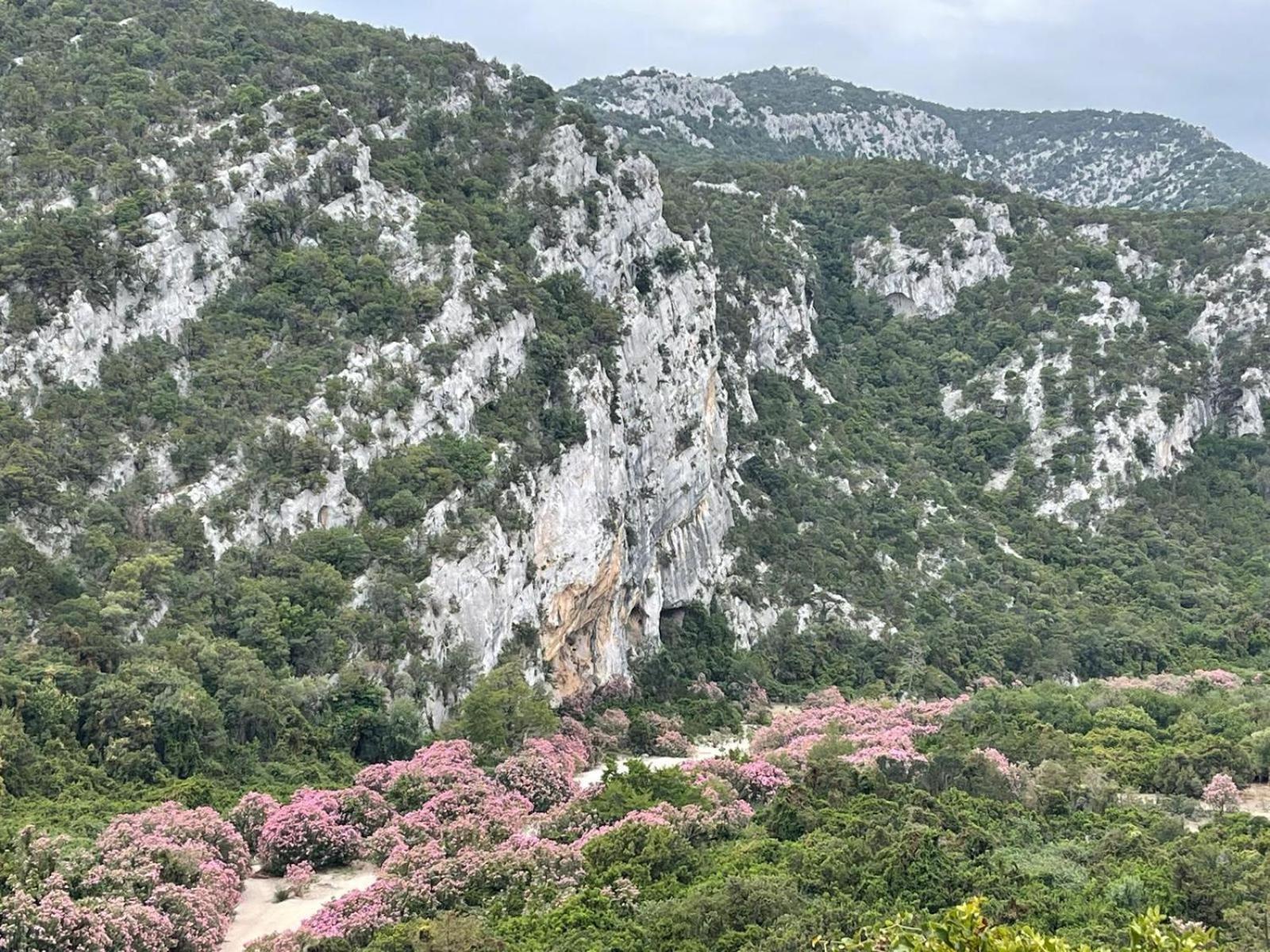 Sa Troppa De Sos Chentu Hotel Dorgali Luaran gambar