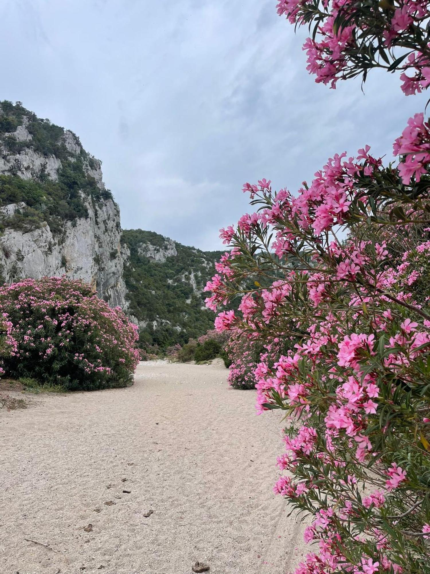 Sa Troppa De Sos Chentu Hotel Dorgali Luaran gambar